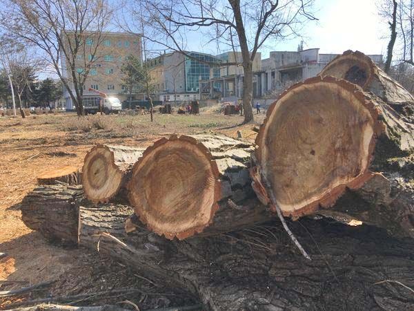 � ���� �������: ���������...