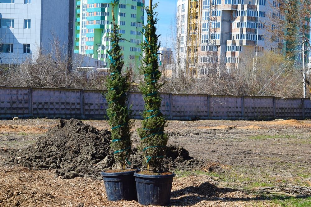 ����� ������������� ����������� ��������� �������� �������� � ������