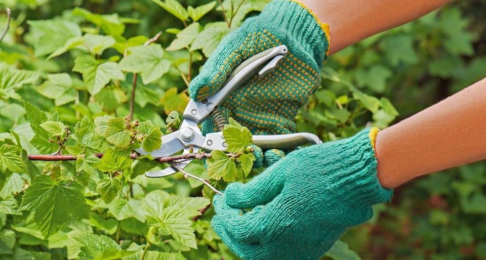 � ����������� ������� �������� ��������� ������