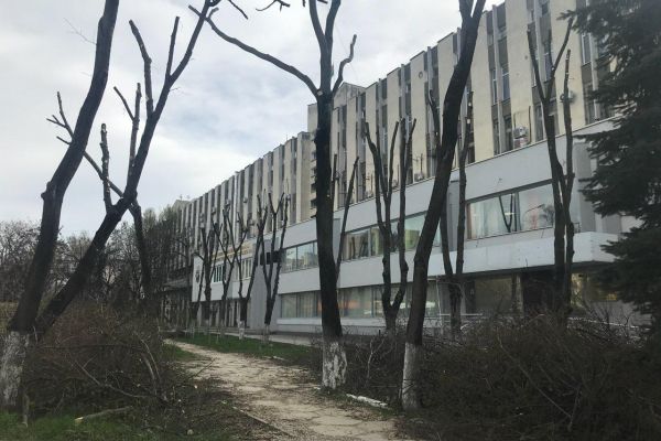 ������� ���������, ������ ����������� ������� ������� �� ���������� ��������