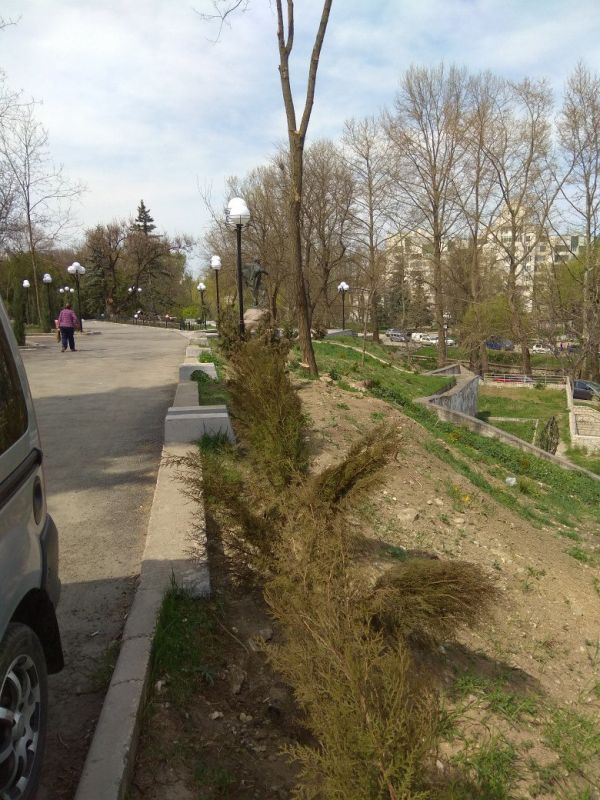 � ��������������� ������ �������� ������� ���������� ���������� (��������)