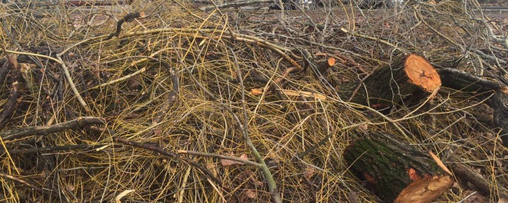 � �������� � ������ ����������� ������ �������� ���� � ������ ��������� �����