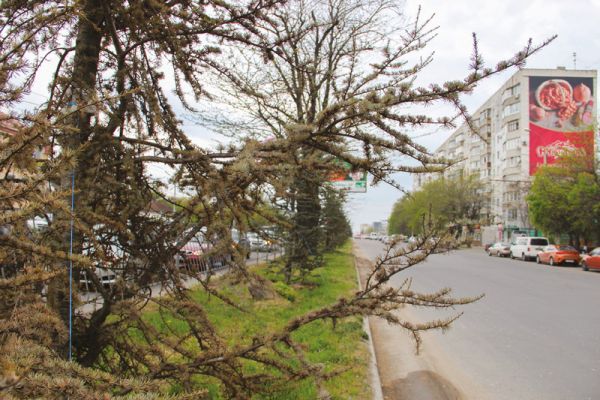 ������ ������� � ����������� �� �����������