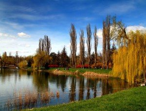 � ����� ����������� ��������� ���������