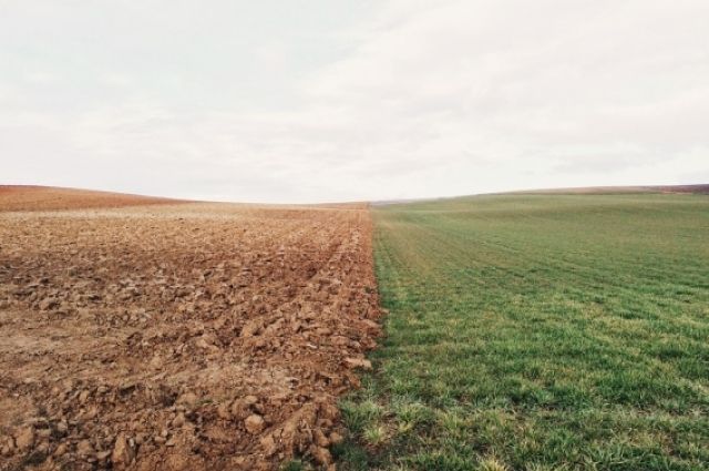 Чиновник предпринял попытку незаконно завладеть бесплатным участком в Крыму