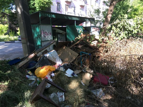 ���� ������ ������?