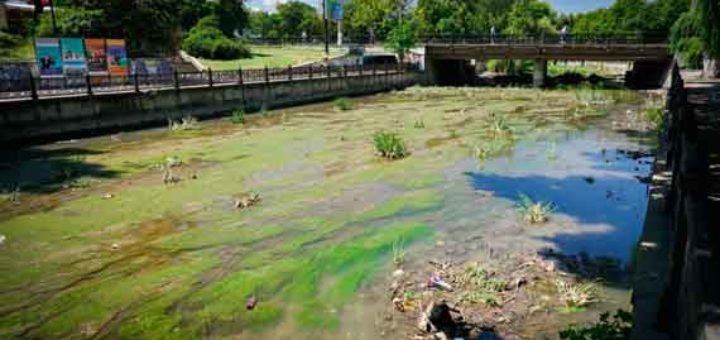 ������� ���� ����������� ������������ � ������ � �������� ���������� ��� ���