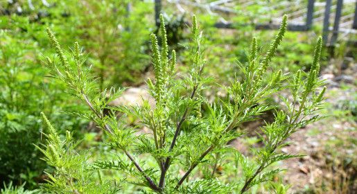 ������ � ��������� � ����������� ����� � �������� ������