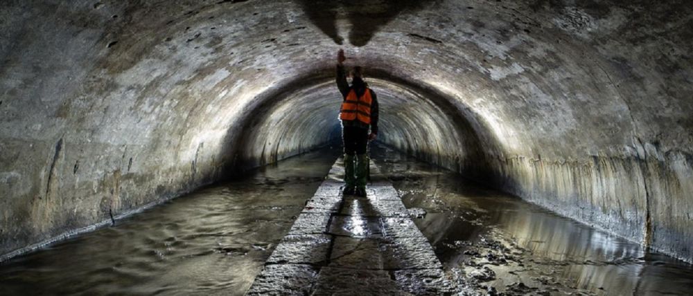 ���� ��� ���������: ������ ����������� ������ ��������� ������ �� ������������� ���������������� ����������