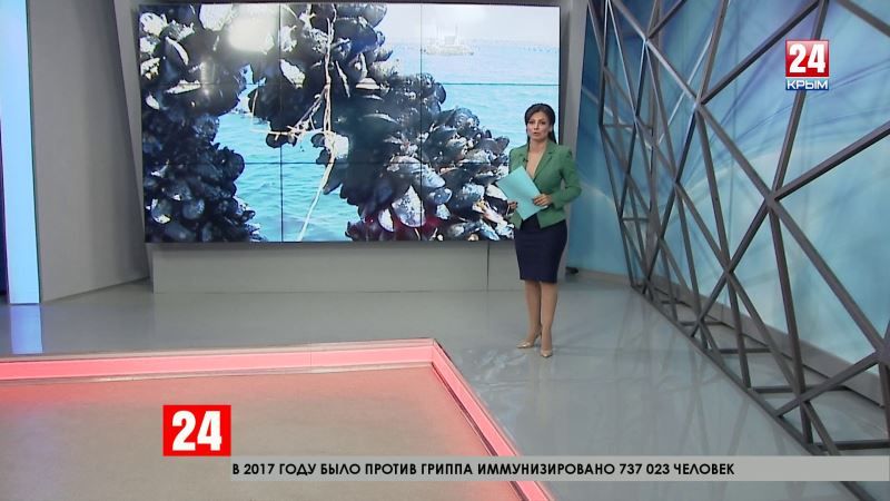 Открытие Крымского моста вдвое увеличило спрос на устриц и мидий в регионах РФ