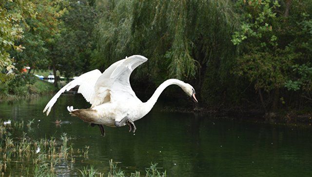 ����� ���������: � ��������������� ����� ���������� ������