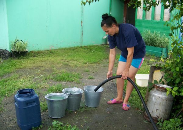 Беззаконие чистой воды
