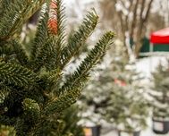 � ����������� ����� �������� 28 ������� �������