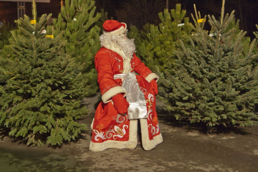 � ����������� ��������� 28 ������� �������: ������