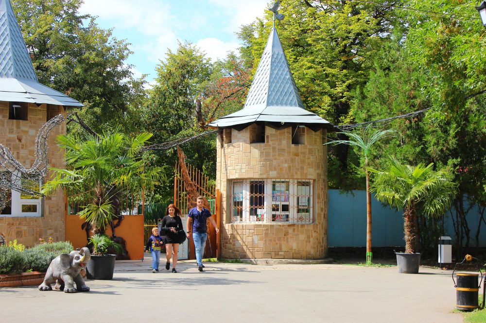 ветклиника здание. ветеринарная клиника спб калининский район. детский парк ветеринарная. ветеринар александра новогиреево. ветеринарная клиника вывеска.