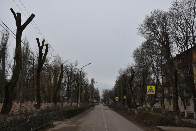 Жэо красноперекопск. Симферополь кронирование. Красноперекопск лес фото.