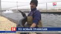По новым правилам: рыбоводы Крыма будут оформлять документы в упрощённом варианте