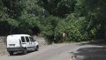 В Ялте упавшее дерево перегородило дорогу