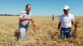 Руслан Комиссаров совместно с рабочей группой по легализации предпринимателей посетил сельхозугодья Советского района