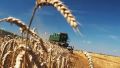 Освоенный объём господдержки агропромышленного комплекса Крыма составляет более 1 млрд рублей