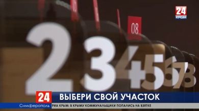 Просто и удобно: крымчане могут выбирать место для голосования на выборах в центрах «Мои документы»
