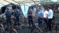 Власти рассказали, что могло привести к пожару в хабаровском лагере