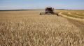 В Белогорском районе завершается уборочная кампания ранних зерновых и зернобобовых культур