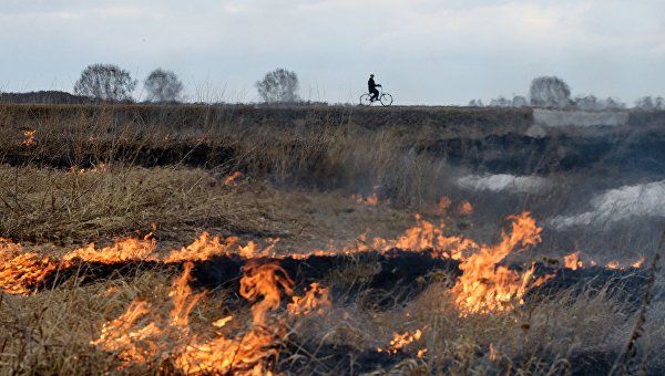 Угрожающая жара: в Крыму объявлена чрезвычайная пожарная опасность