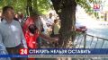 Сколько деревьев спилят на улице Александра Невского в Симферополе?