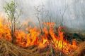 В Крыму объявлен режим чрезвычайной пожарной опасности