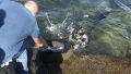 Подводный субботник: дайверы очистили дно севастопольской бухты