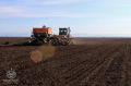 Уборка поздних зерновых в Крыму перешла в завершающую стадию