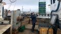 В Крыму завели более тысячи административных дел за нарушение правил рыбного промысла