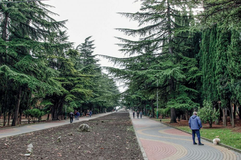 Алушта парк. Приморский парк Алушта. Центральный парк Алушта. Алушта городской парк. Алуштинский парк.