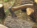 Лесники остановили браконьеров с будущими дровами