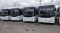 «Крымтроллейбус» получил 44 новых автобуса