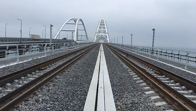 Ученые рассказали о негативном воздействии Крымского моста на экологию