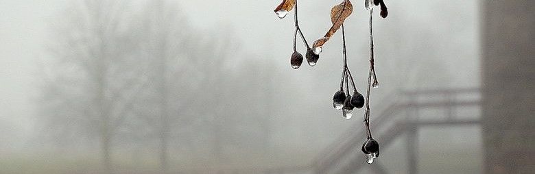 Дождь, туман и до +6?: какой будет погода в Симферополе 21 ноября