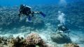 Крымские археологи начали проводить подводные исследования в Сирии