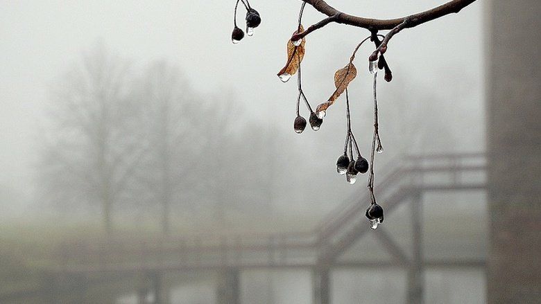 Дожди и туман: какой будет погода в Симферополе 28 ноября