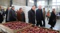 Сельскохозяйственным предприятием ООО «Сады Бахчисарая» в 2019 году собрано более 4 тысяч тонн урожая плодовых и 198 тонн винограда