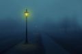 В ночь с 6 декабря некоторые улицы Севастополя останутся без наружного освещения