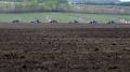 Крымские аграрии получат господдержку в размере 3 млрд рублей в 2020 году