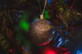 Огни главной новогодней ёлки в Севастополе зажгут 21 декабря