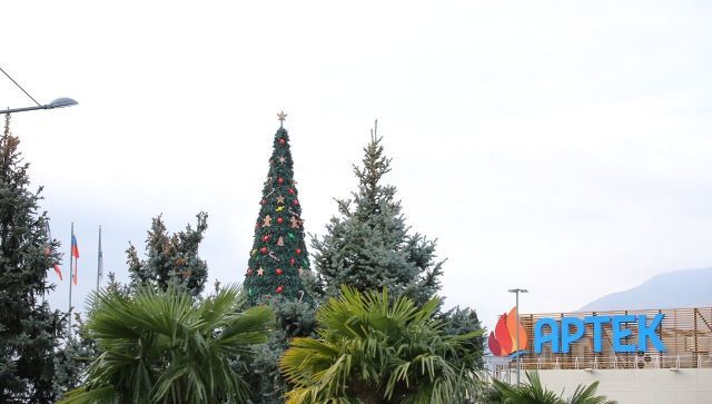 В "Артеке" в пятницу зажгут 18-метровую новогоднюю елку