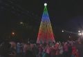 В Севастополе торжественно зажгли главную новогоднюю елку