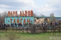 Парк львов «Тайган» в Крыму еще раз закрыли на 30 дней