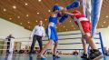Кубок «Дюльбер-2019» собрал более 200 юных боксеров