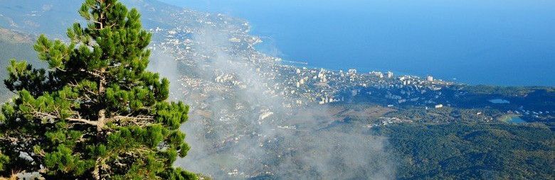 Метеокрым. Метеокрым. Метеокрым. Метеокрым. Ялта в январе фото.