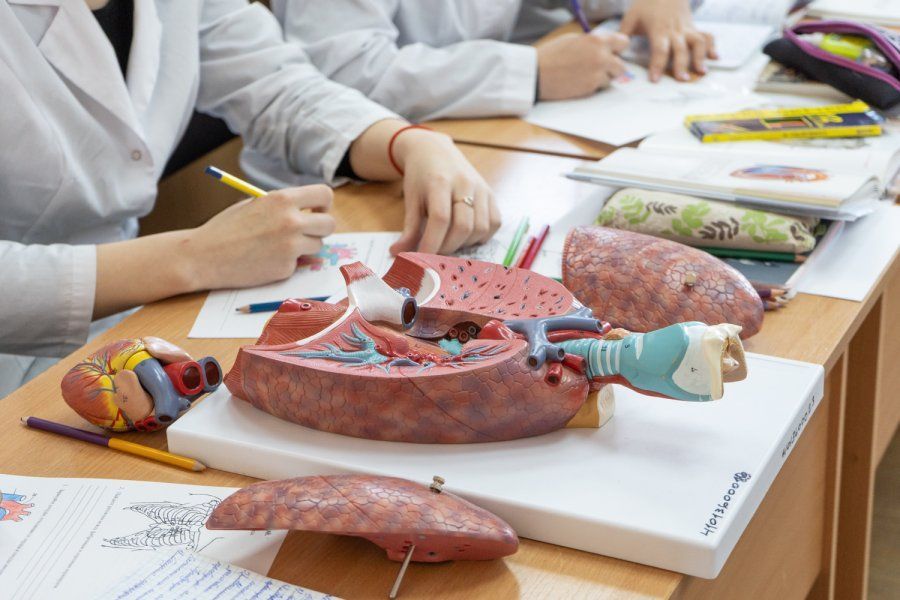 По следам Послания Путина: как проходит целевой набор медиков в Севастополе